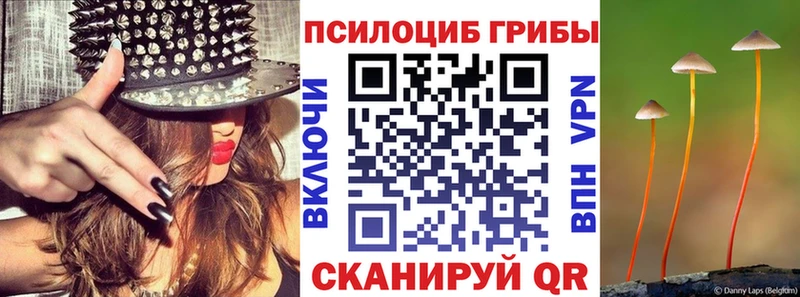 Купить где  Нерчинск  Псилоцибиновые грибы Psilocybine cubensis 
